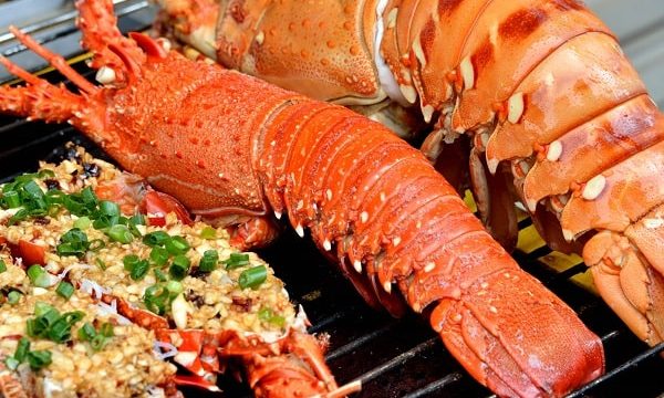 Top 10 cửa hàng bán hải sản Nam Định tươi ngon nhất 